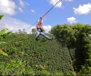 Canopy los Caracolíes Fuente: panamericanaweb pandac com1